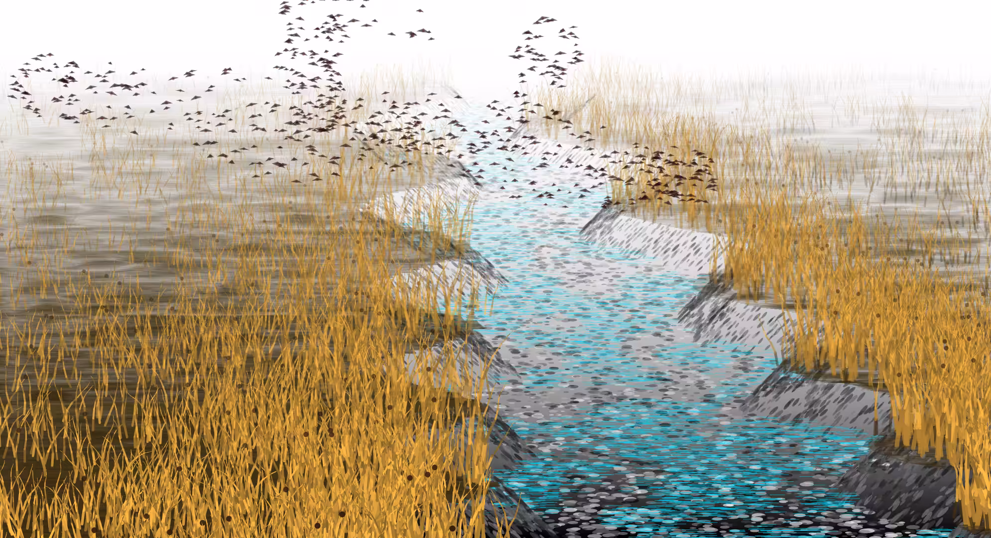 Wetlands #26