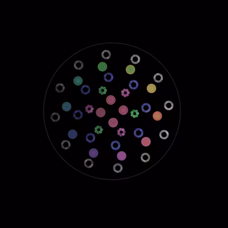 Fluidynamix - Rings #97