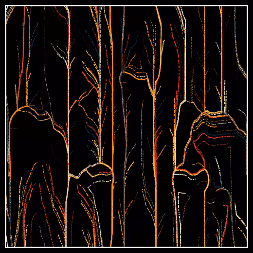 Observers' decline #13