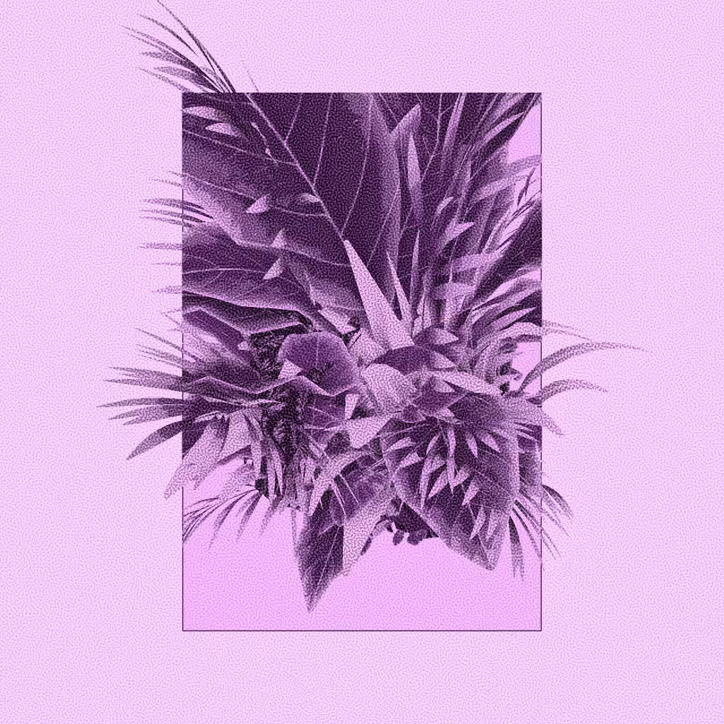 Botany #269