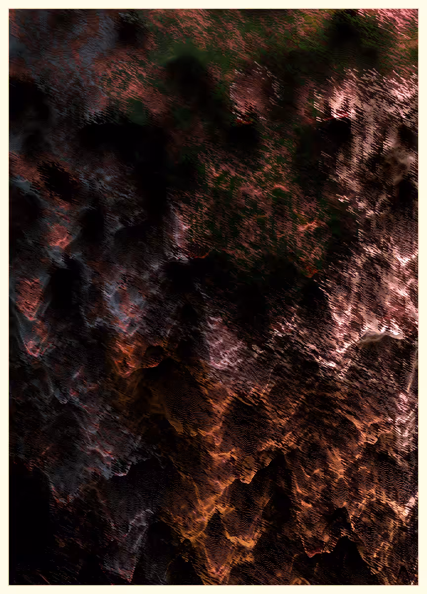Coral Special Edition #19