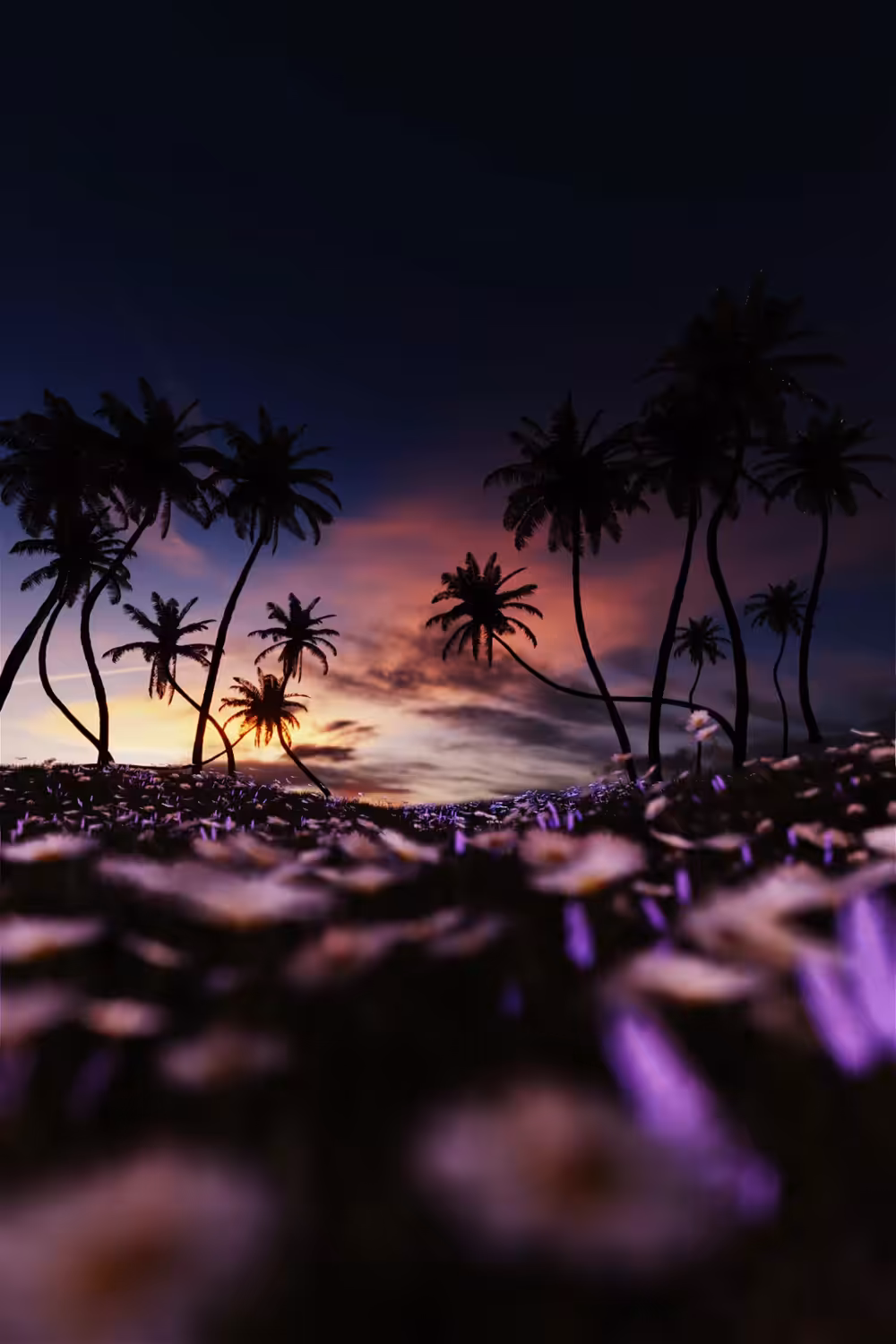 Light Show