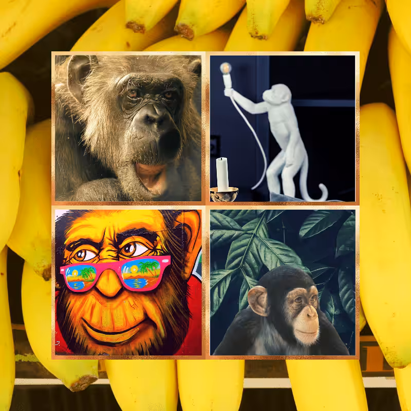 Banana legends #30