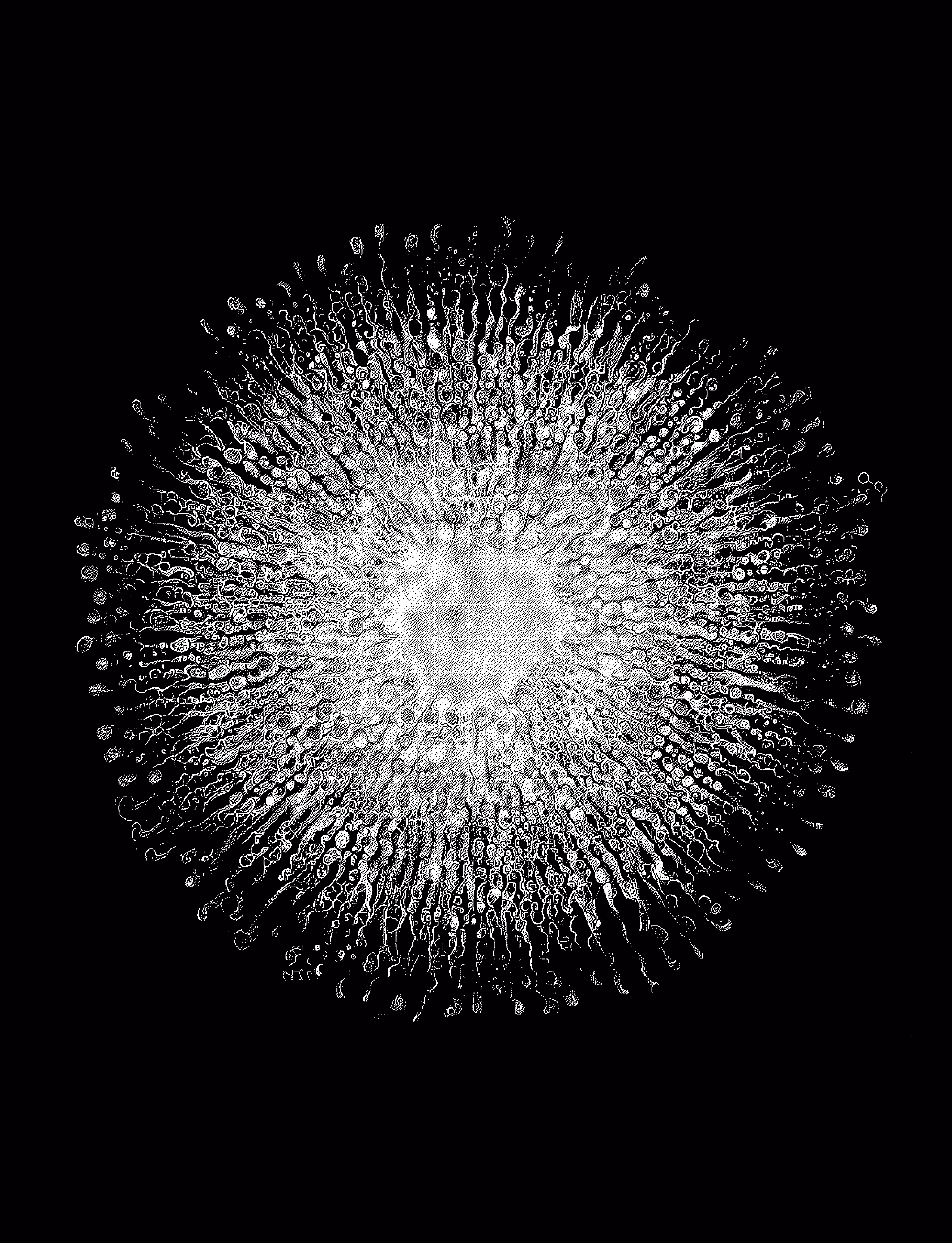Heliozoa_I