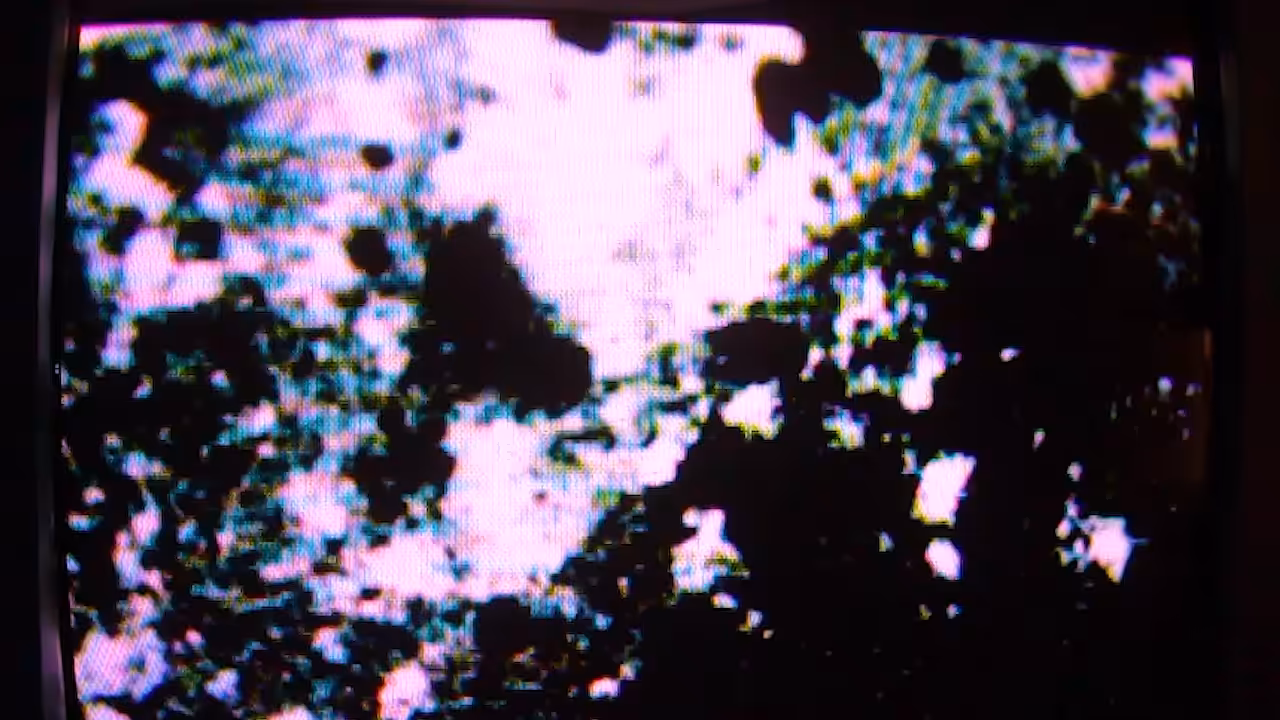 I Want to Dive [Void of Meaning]