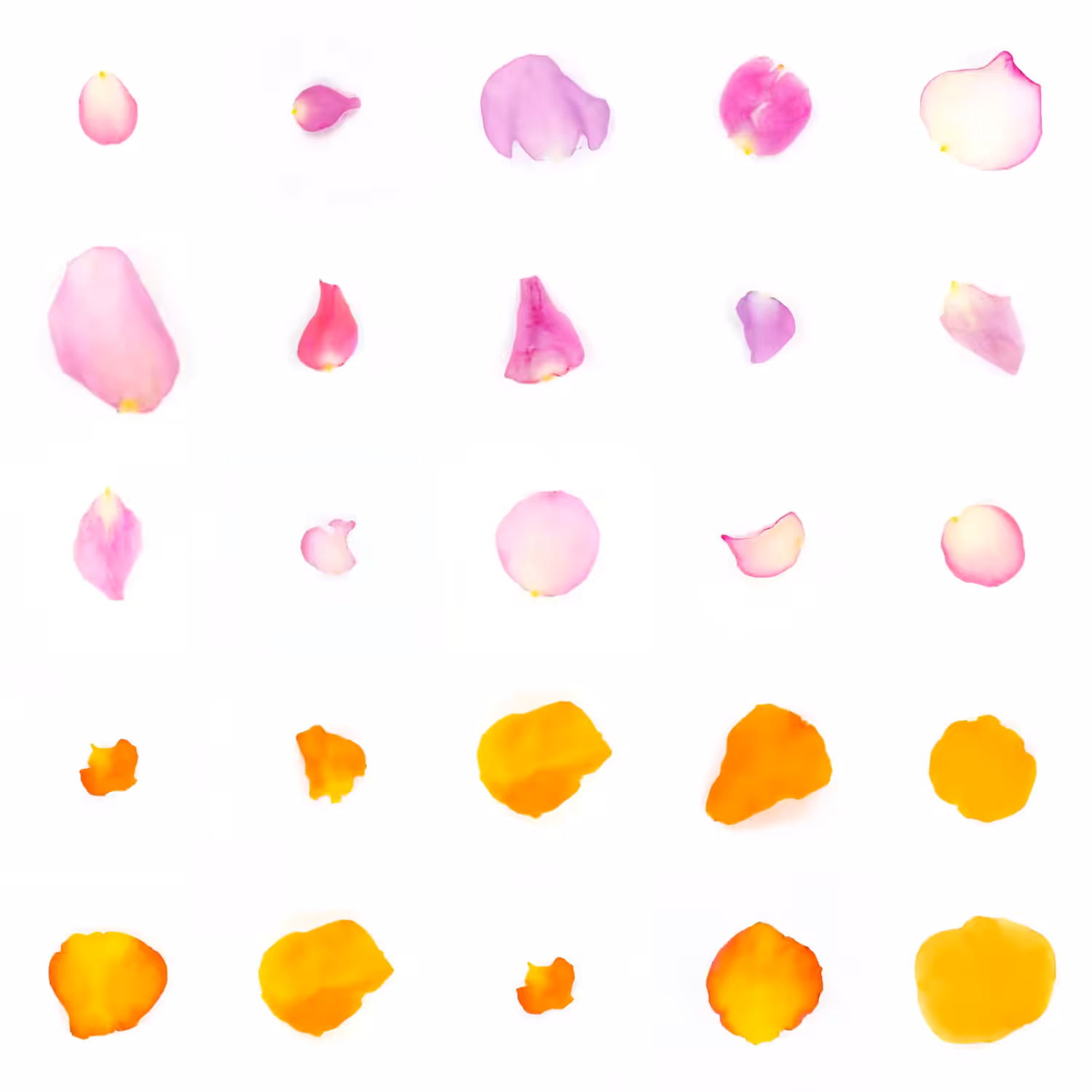 Infinite Petals 5x5#20590