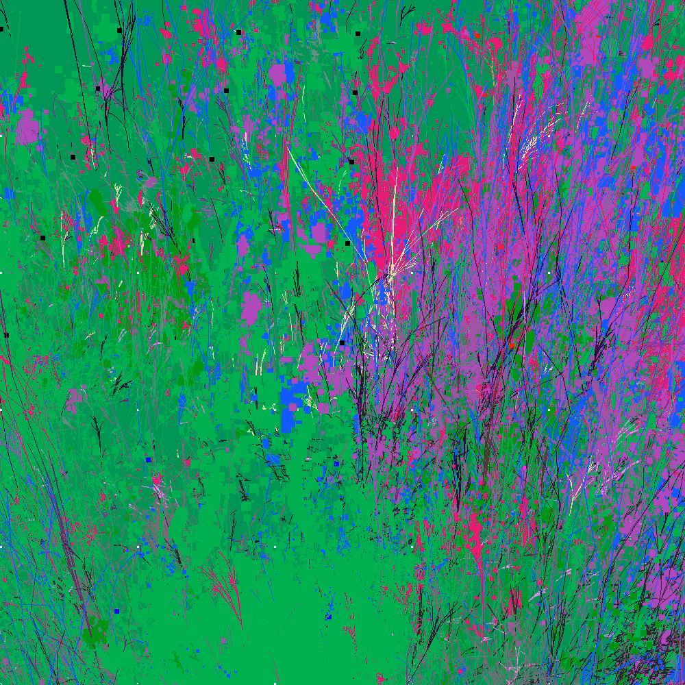Infinite Garden: 77727 Flowers