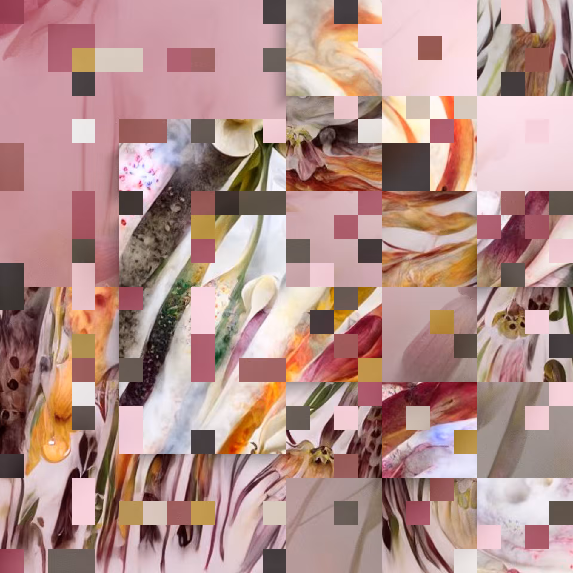 !arrangements: Tsvetan