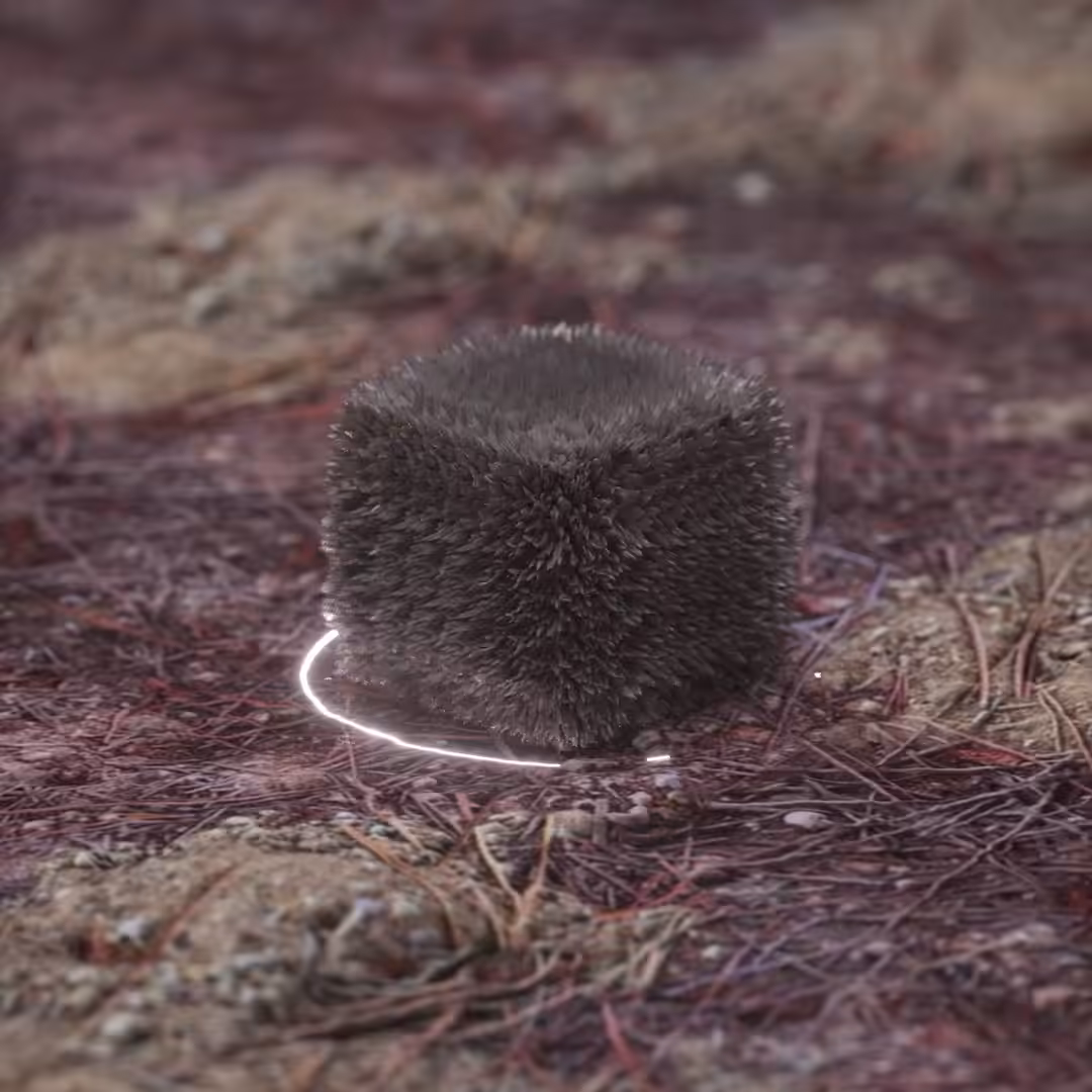 Strange soft body 07