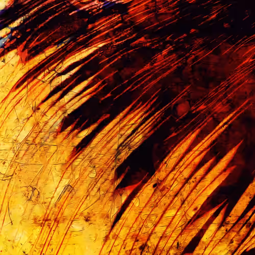 Winter Fire