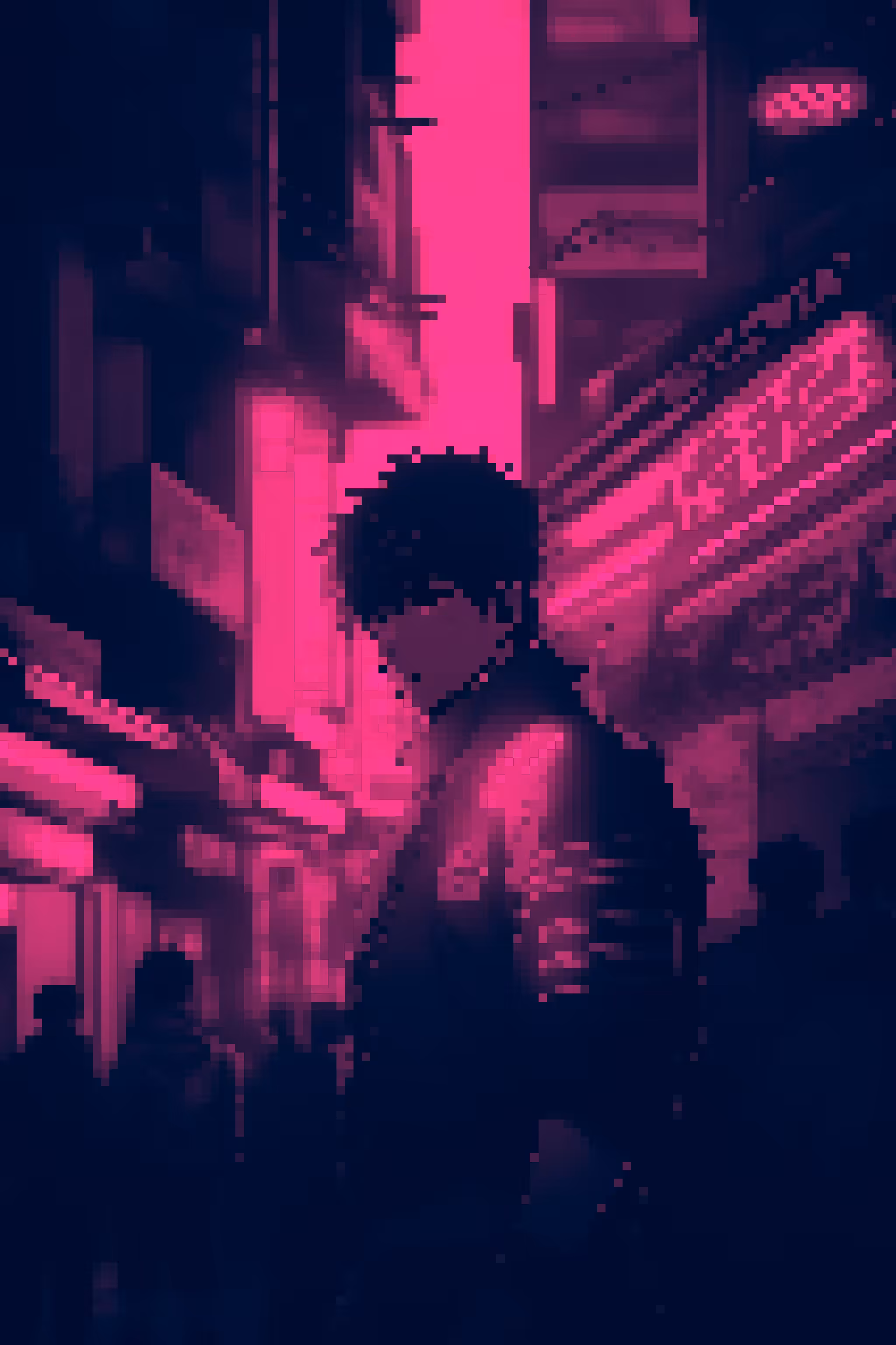 Urban Paladin