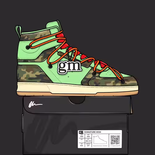 Signature Sneakers Highs #778