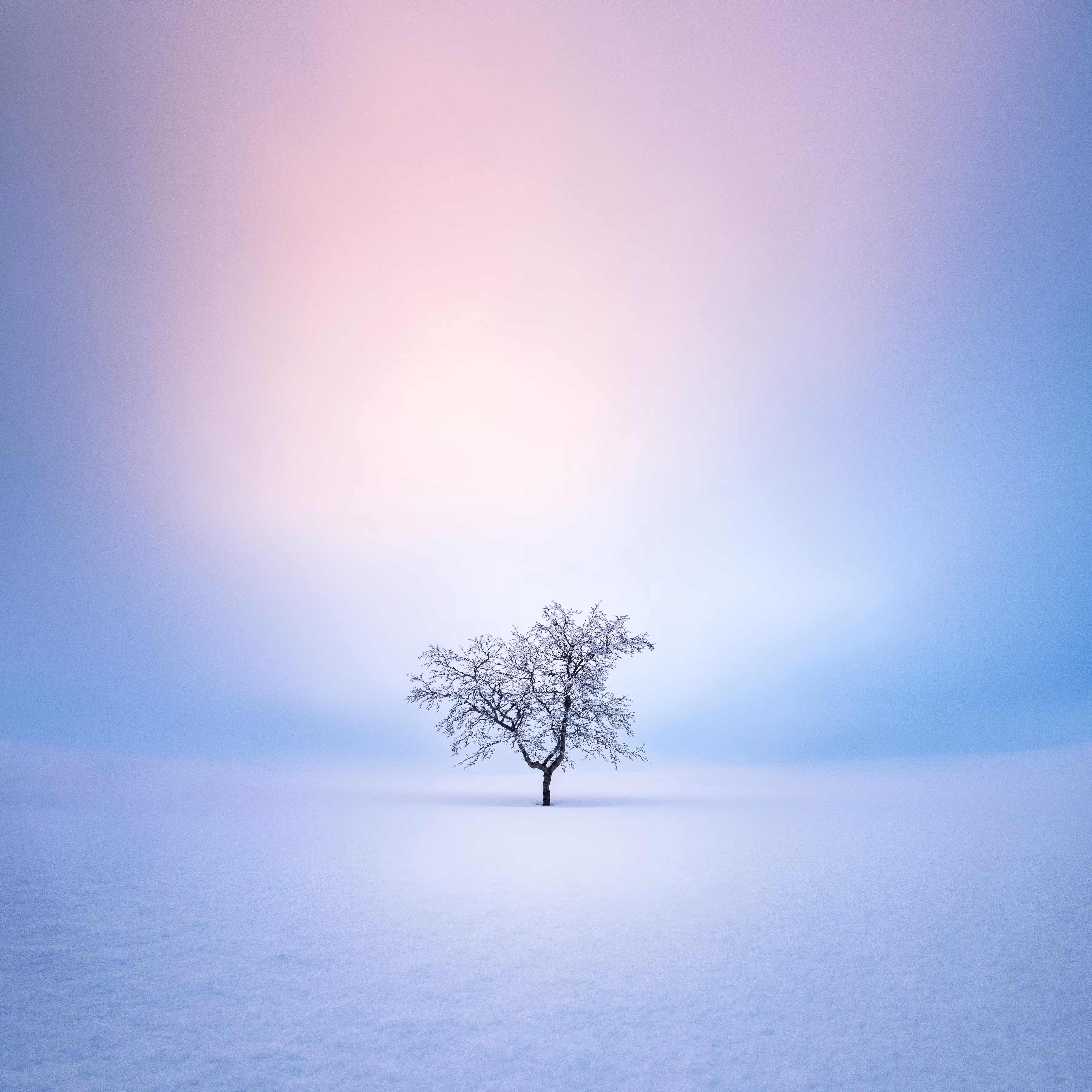 Solitude