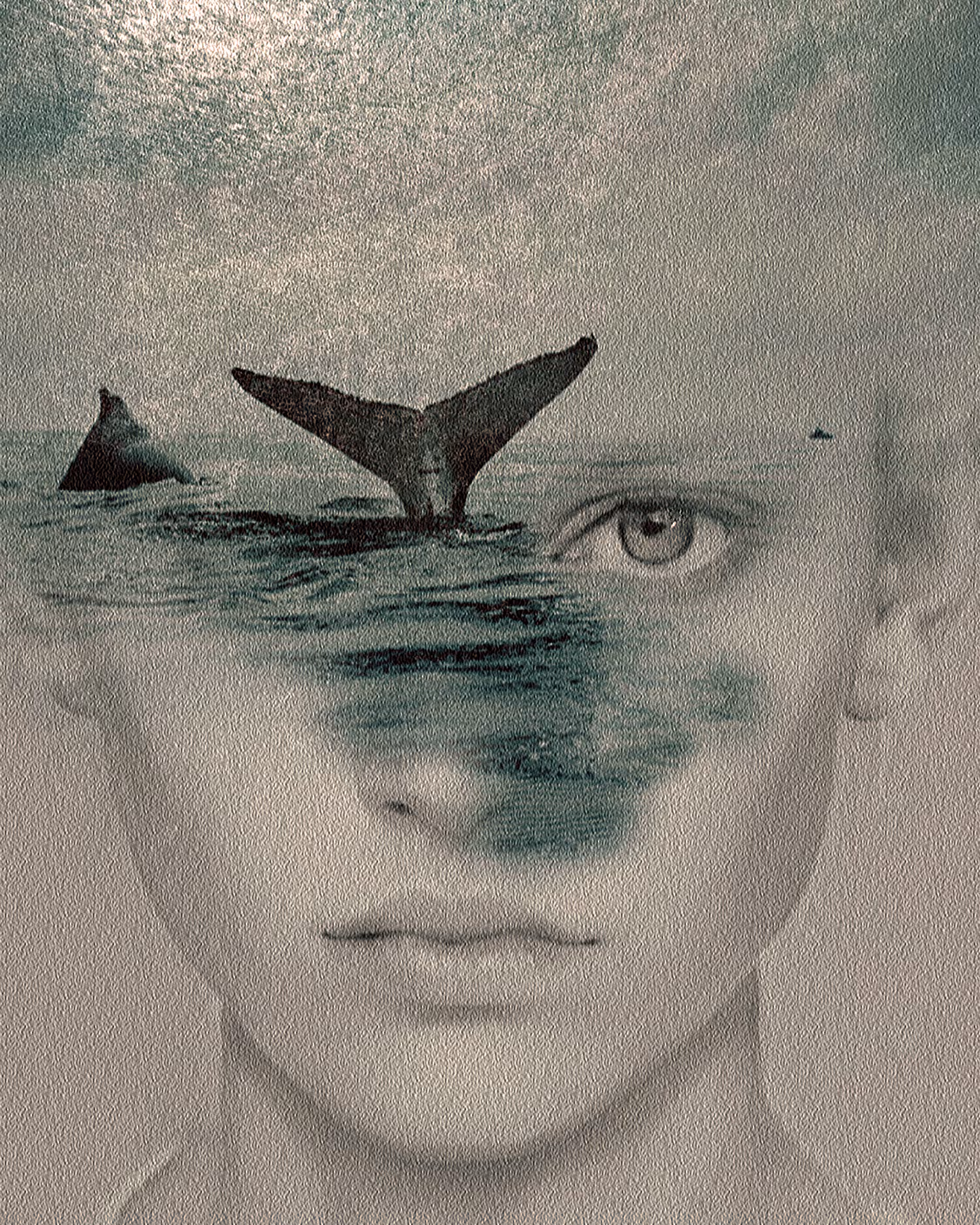 / OCEAN / still