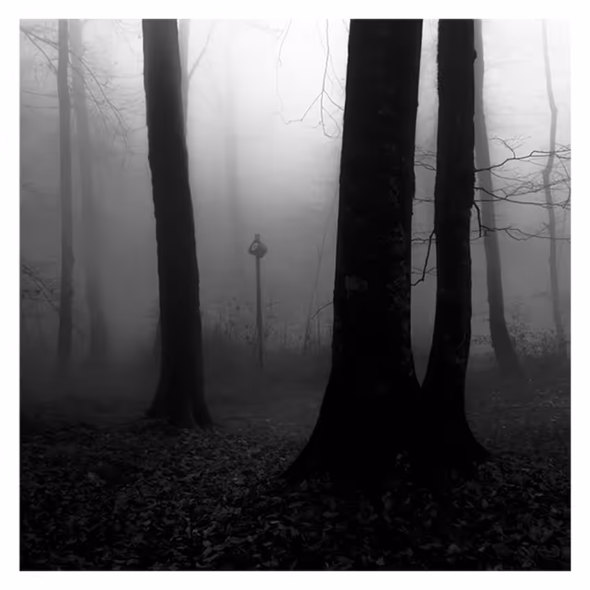 Lost in fog