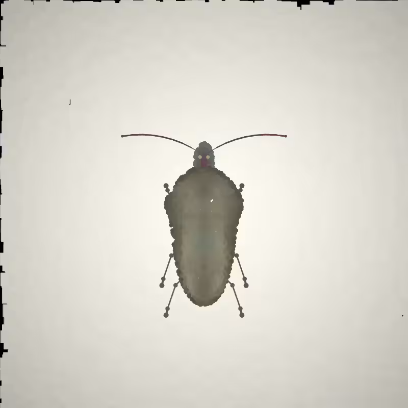 Beetle Sketches #24