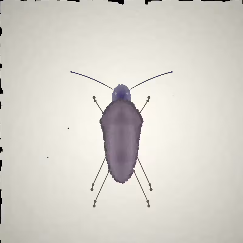 Beetle Sketches #32