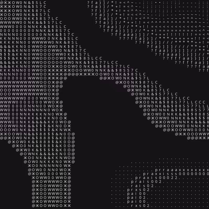 Praxis 002 #69