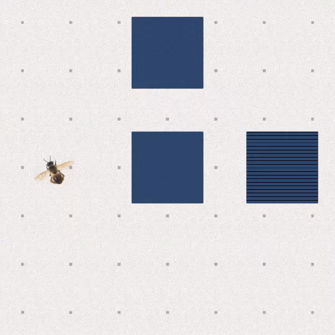 Bee #49