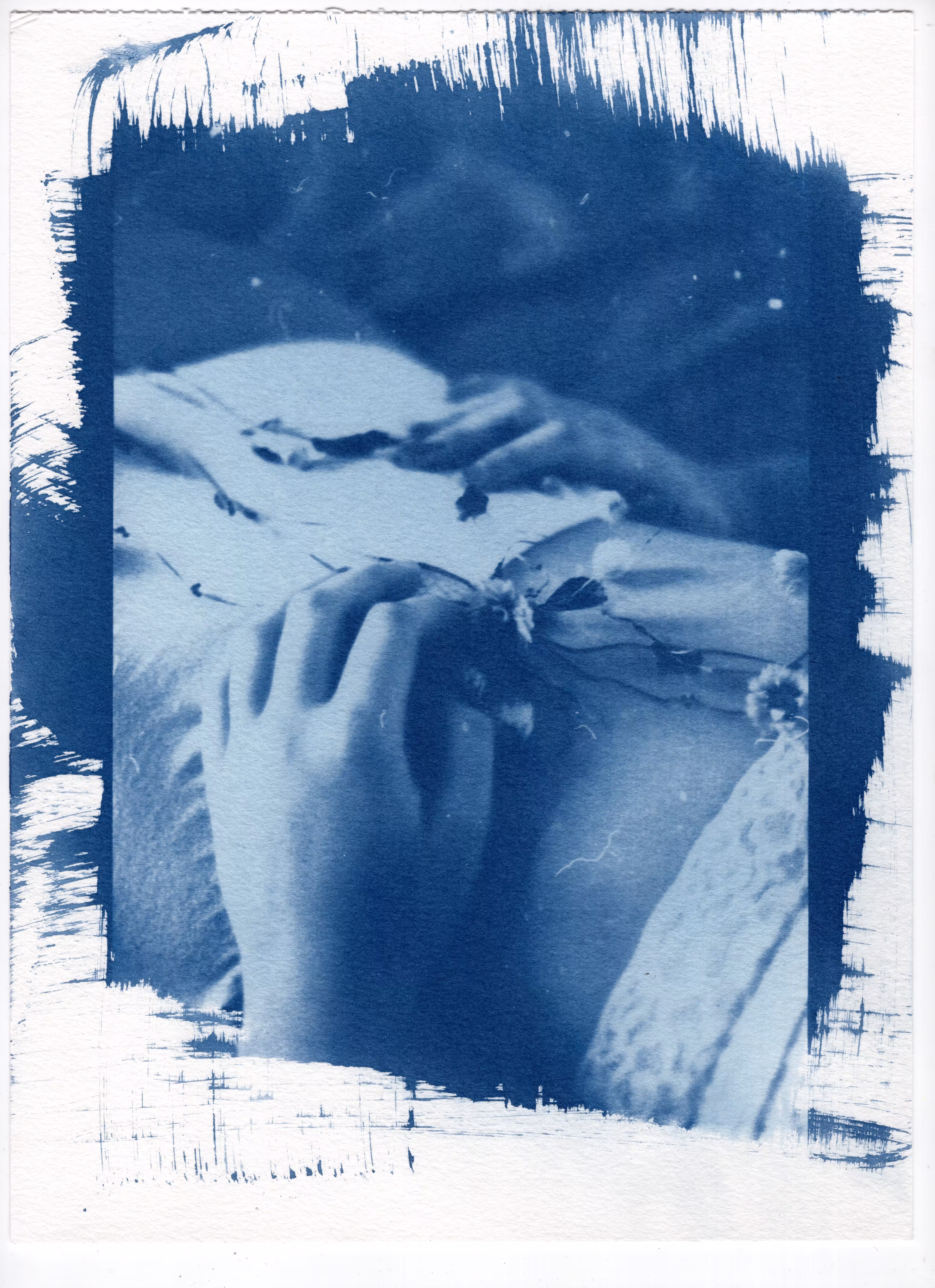 Cristina Cyanotype 