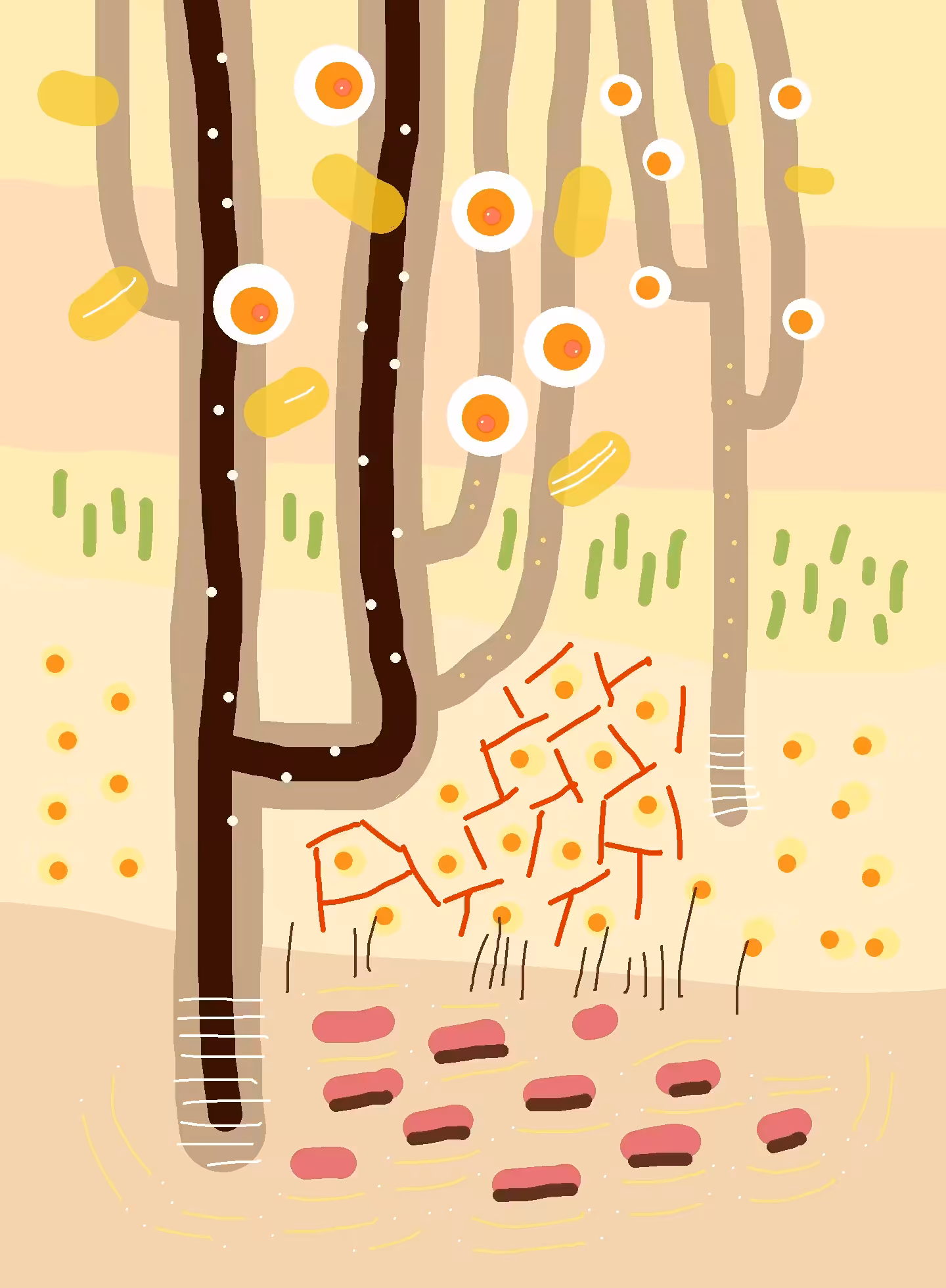 The beginning of style 2 - Stripes and dots: Apple trees in bloom (pink)