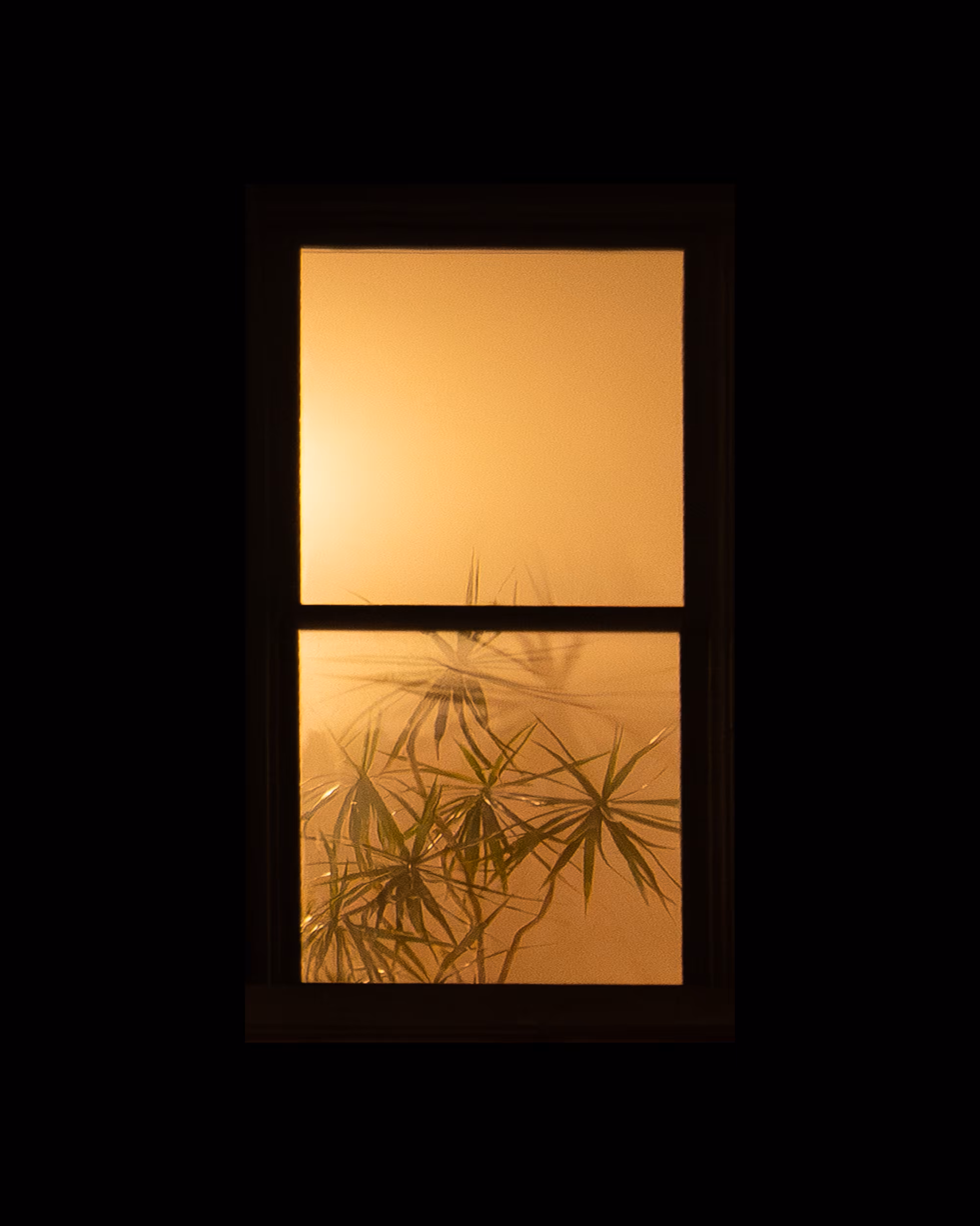 WINDOWS // NYC: WINDOW 739