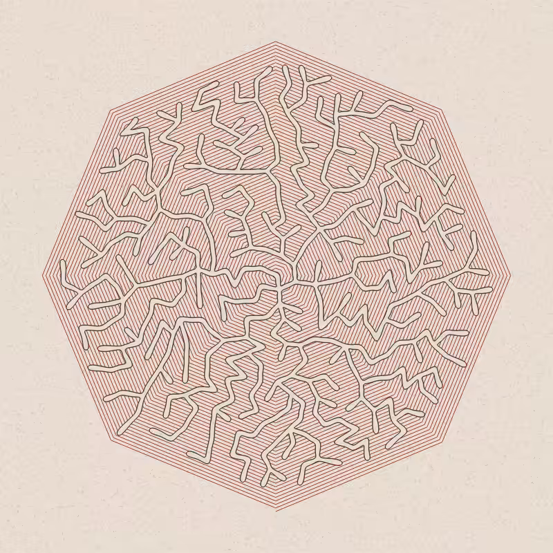 Burrow #9