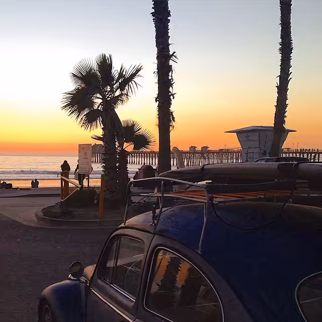 Oceanside Beatle
