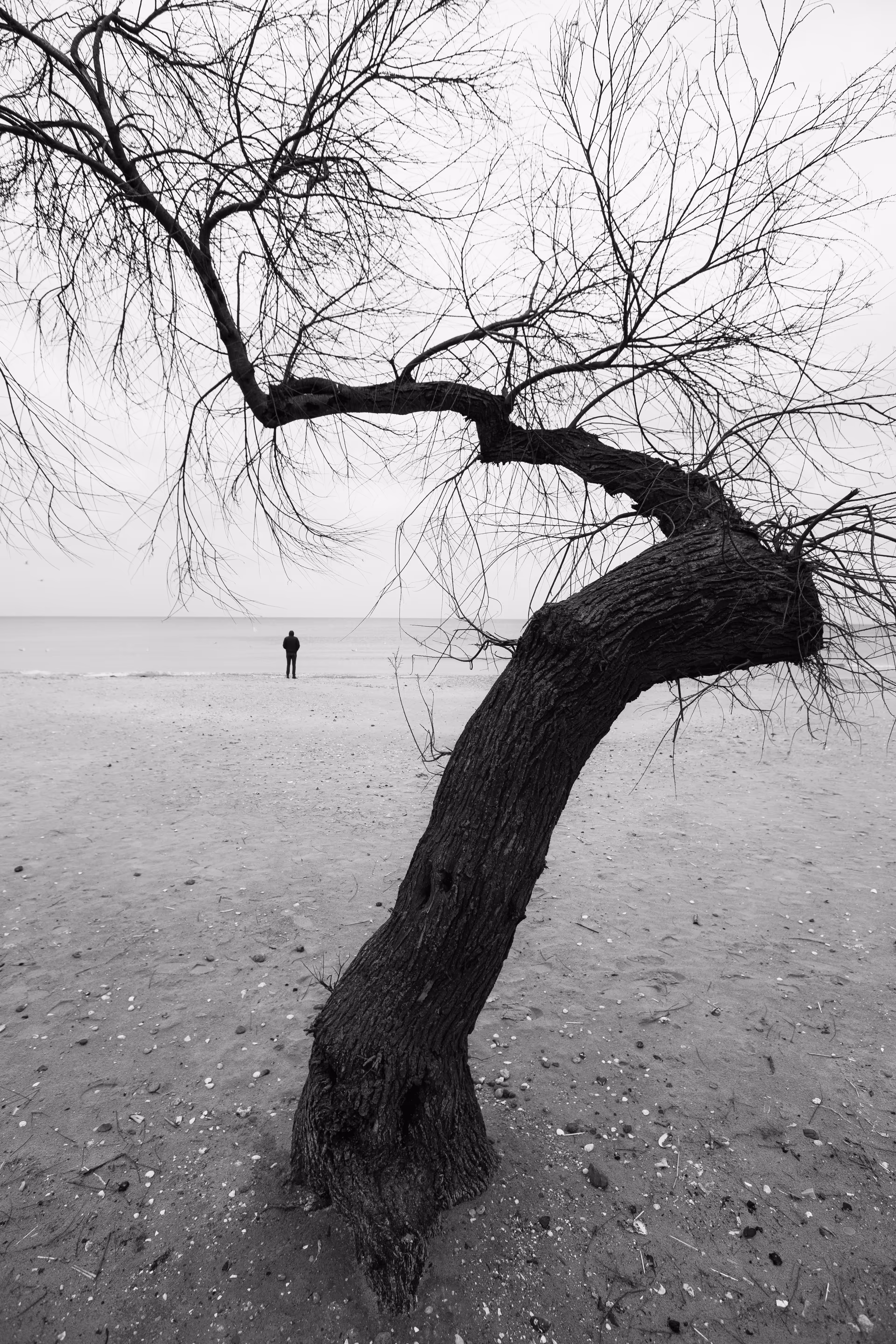 Silence #2
