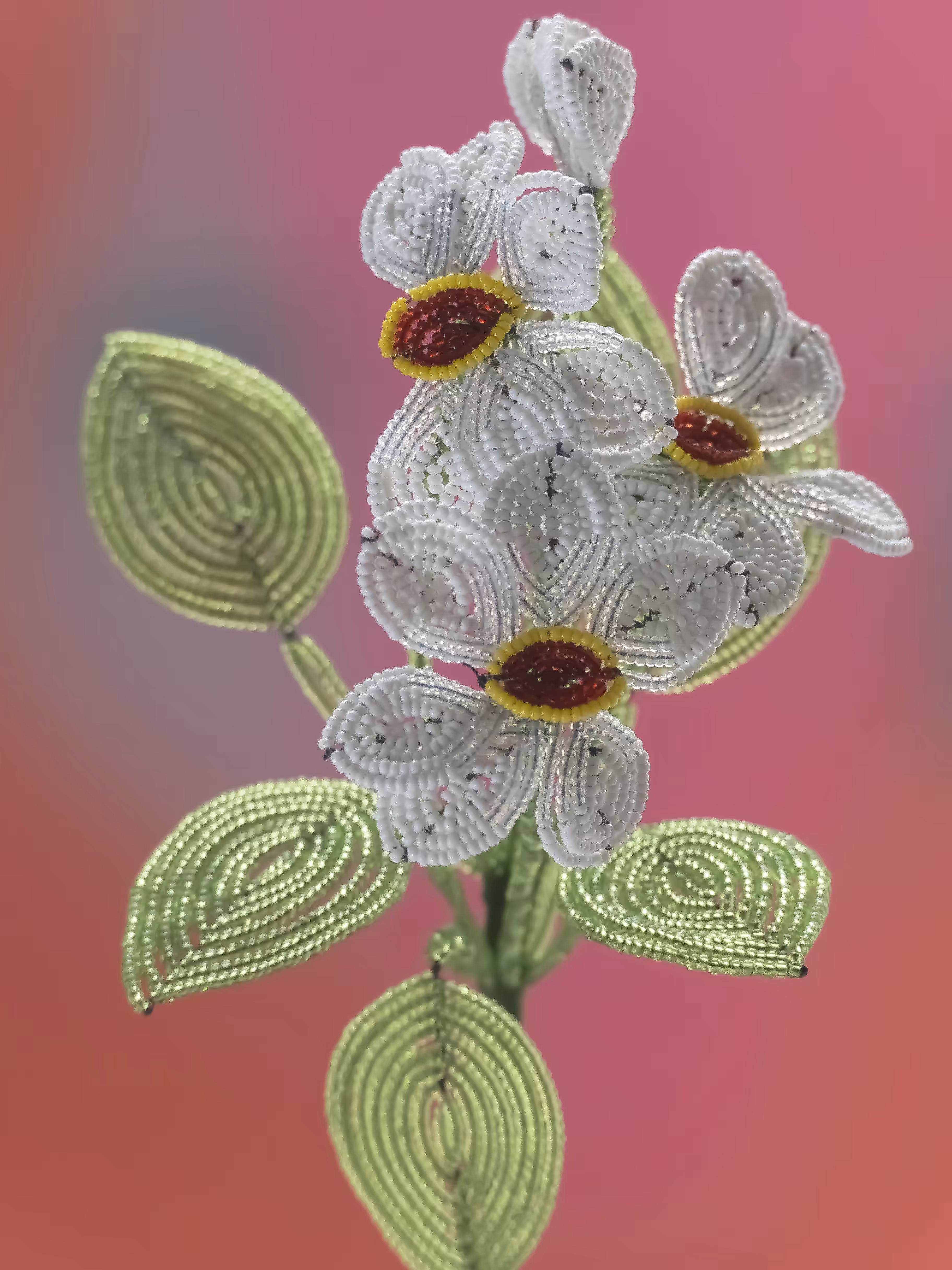 Fleur d'Artifice, July 2021