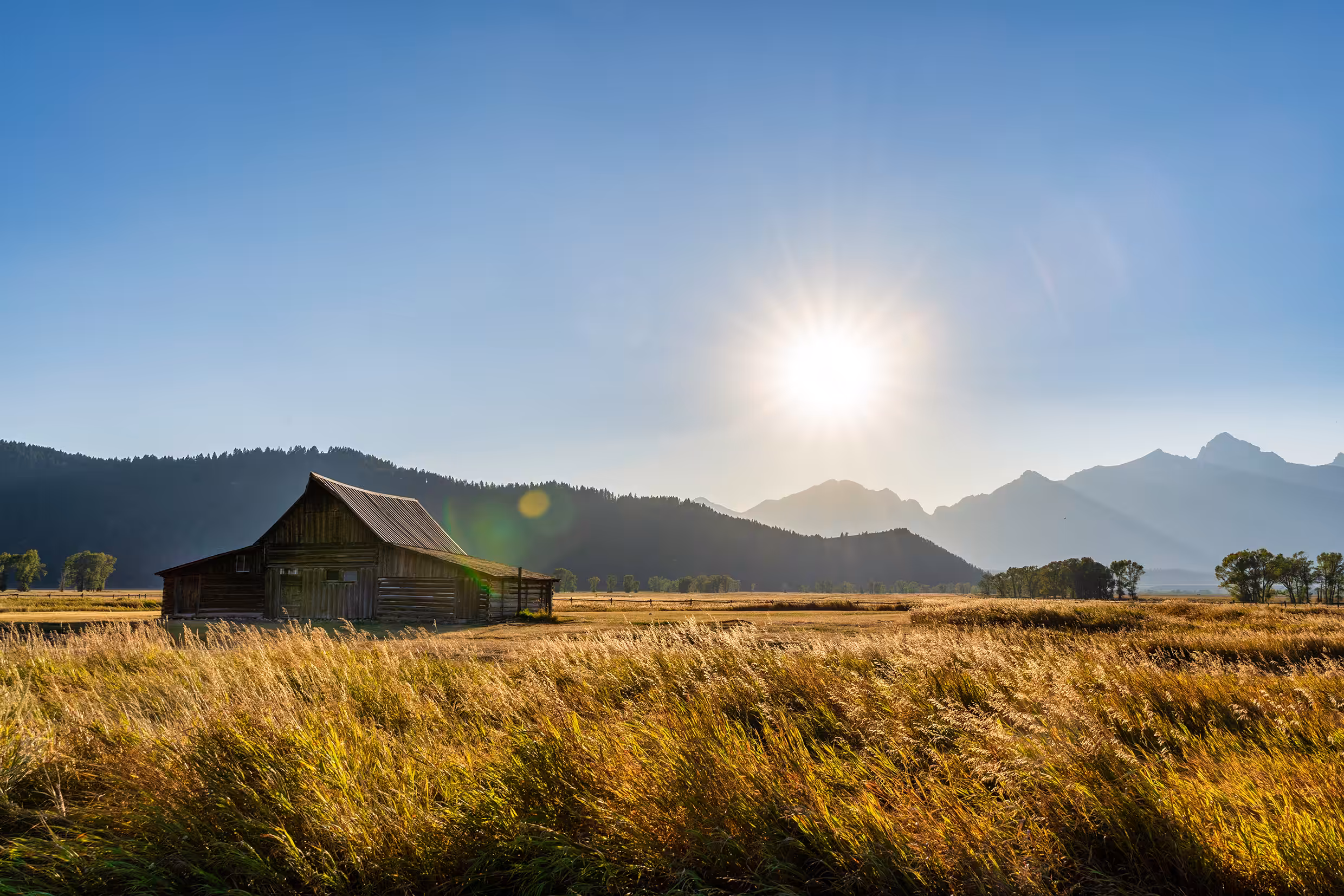 Lonesome Barn