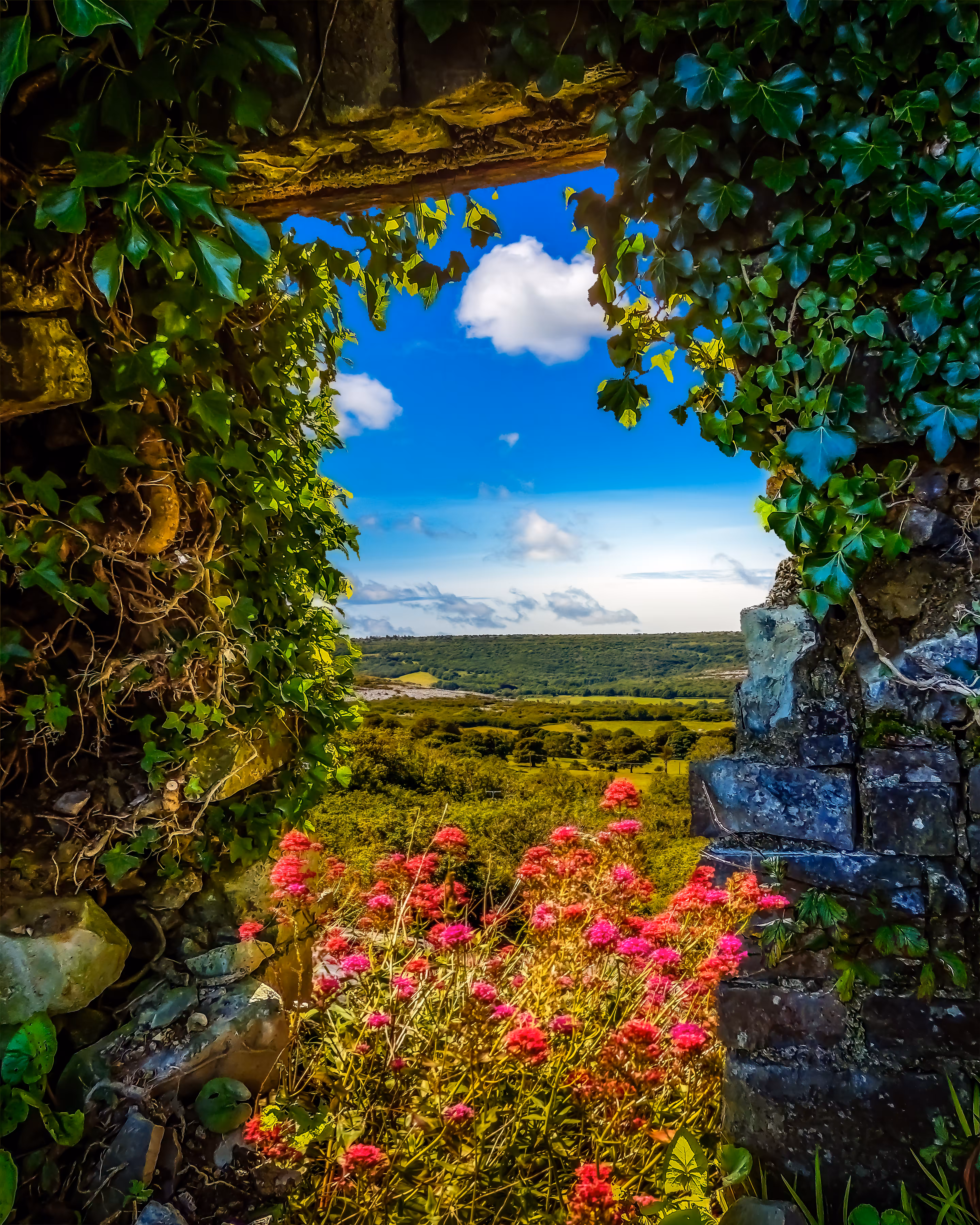 Secret Irish Garden