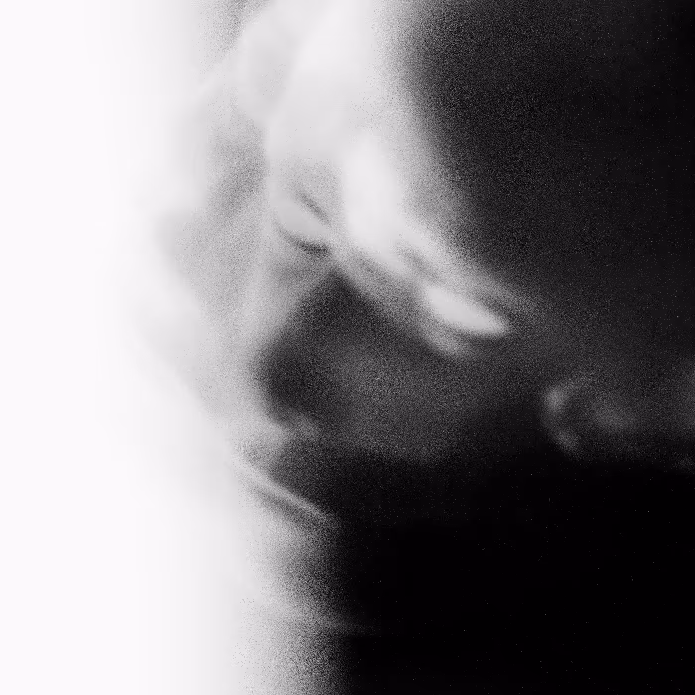Emotional Shell #454
