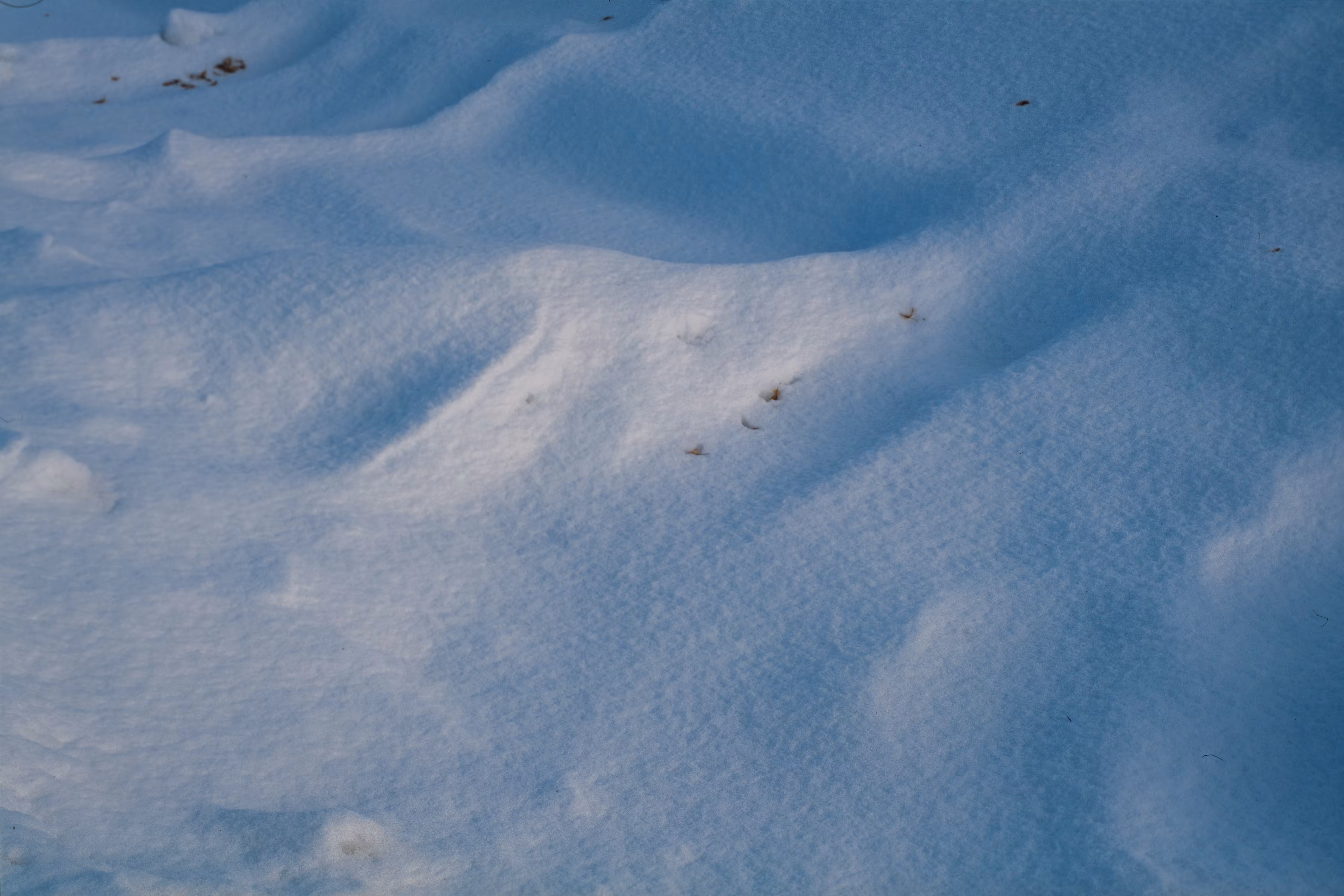 Snow