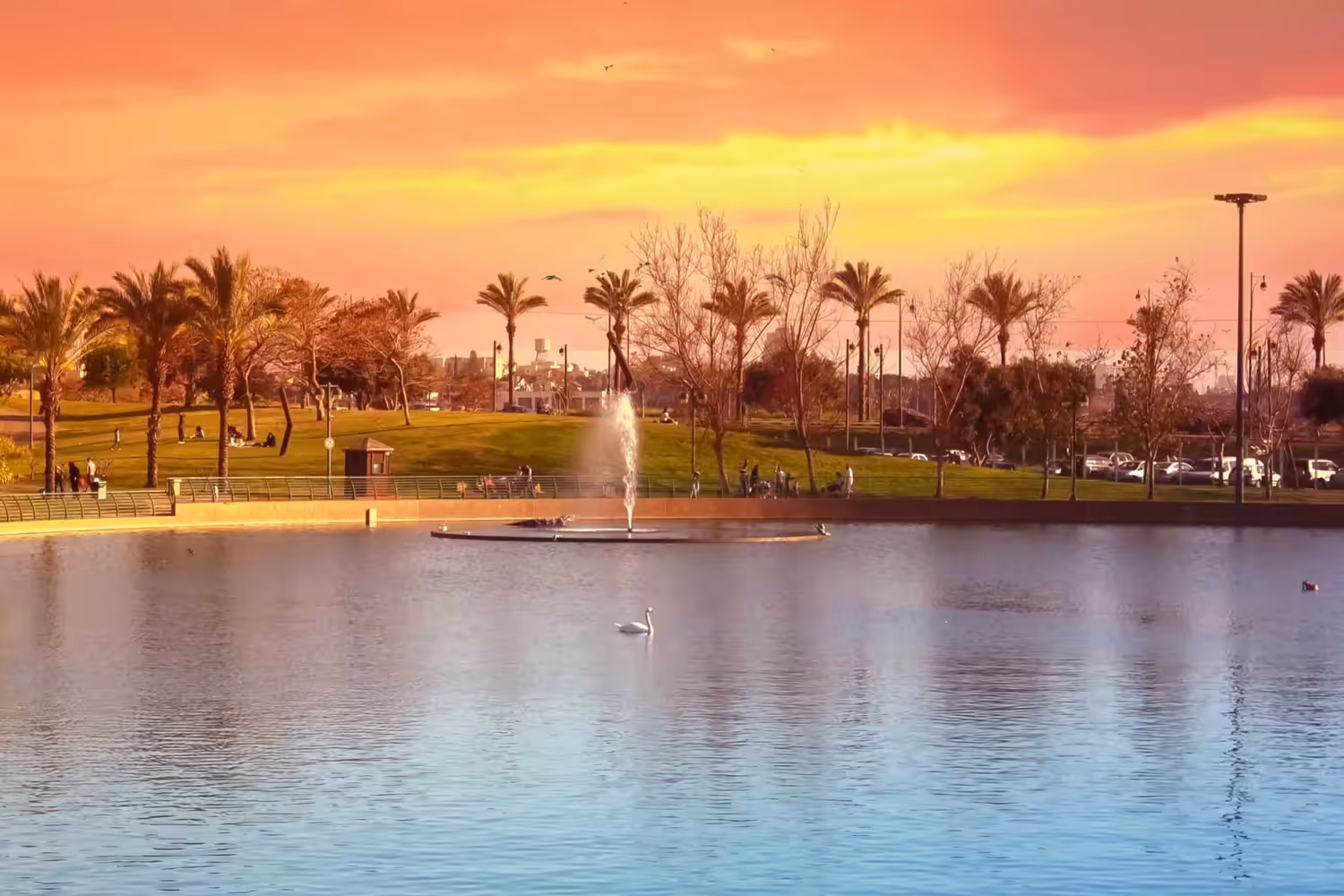 Fountain in a lake