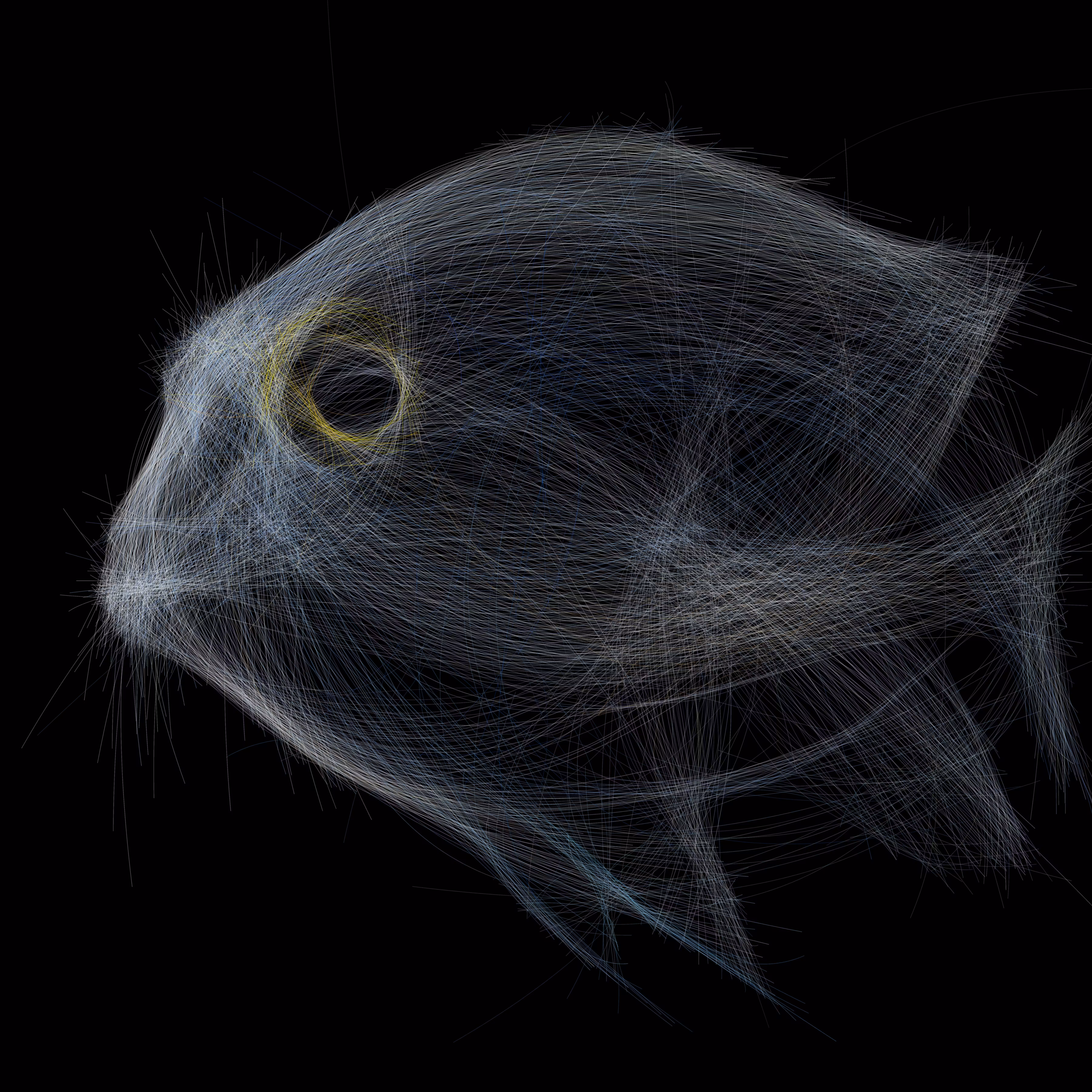 Underwater 148