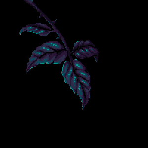 The Void: Drop 