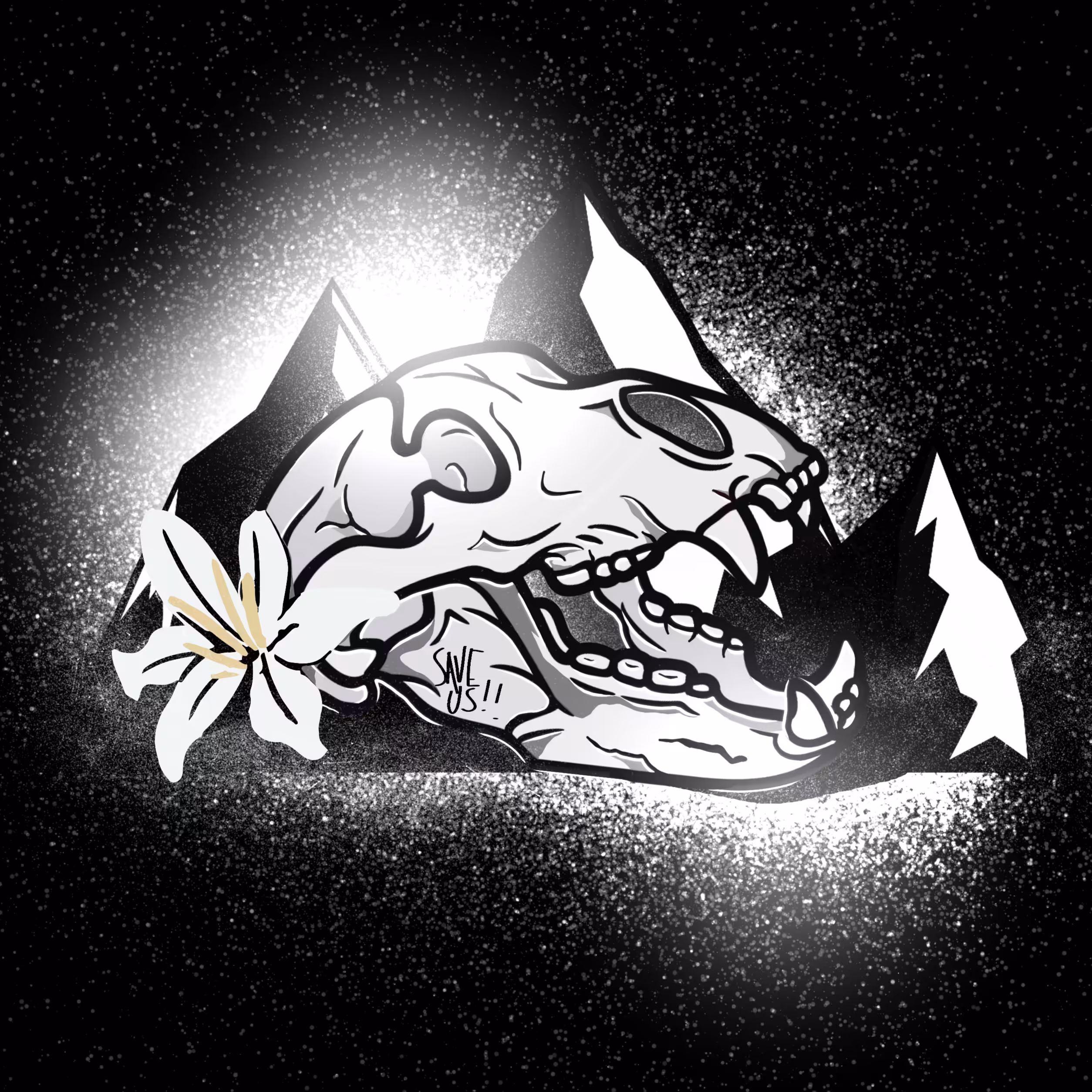 Polar Bear Skull