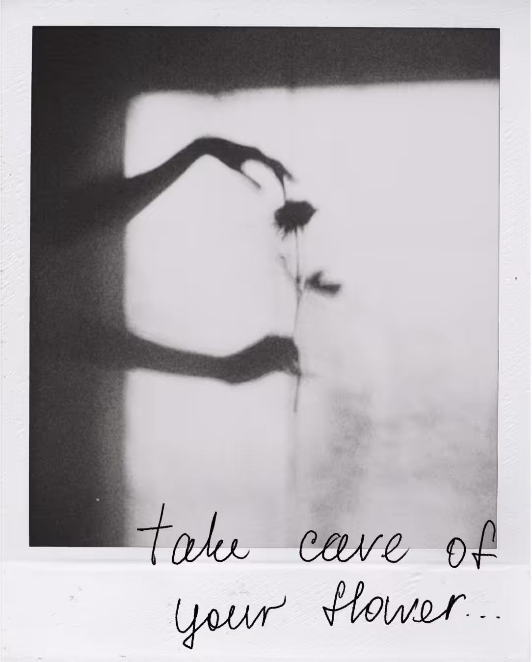 Polaroid 122