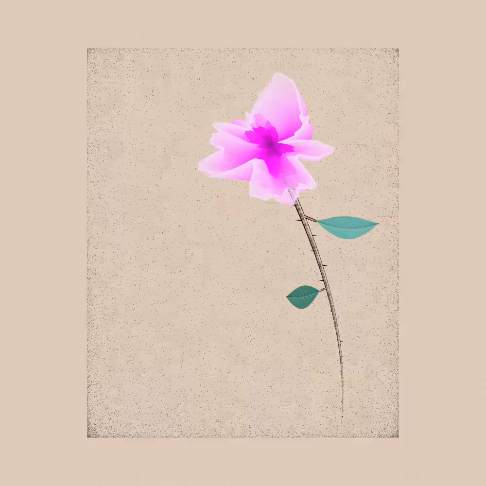 Magnolia #17