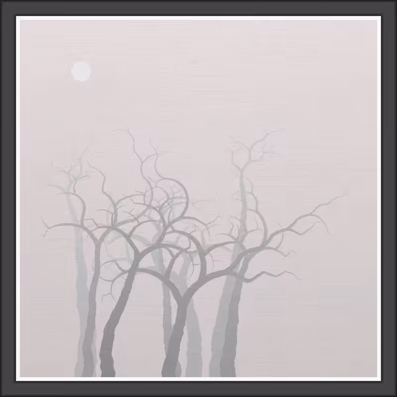 The Foggy Trees #69