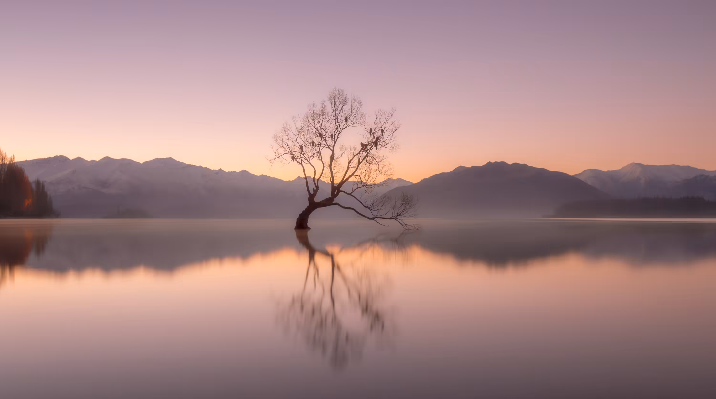 AOTEAROA - RANGIĀTEA KI TE WHENUA #13