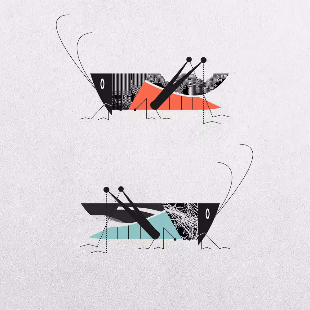 Grasshopper Abstraction #23