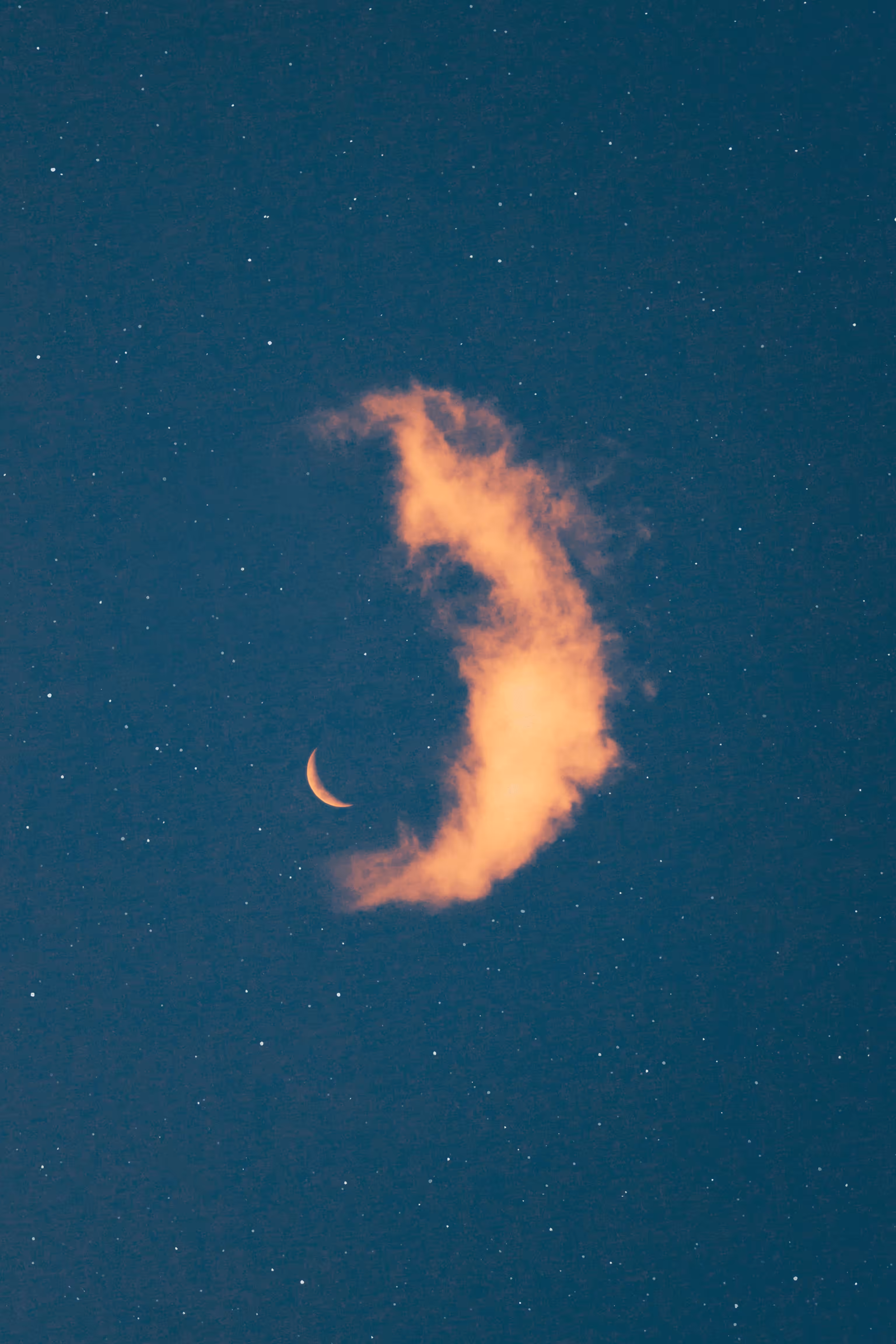 My Moons and Stars #15