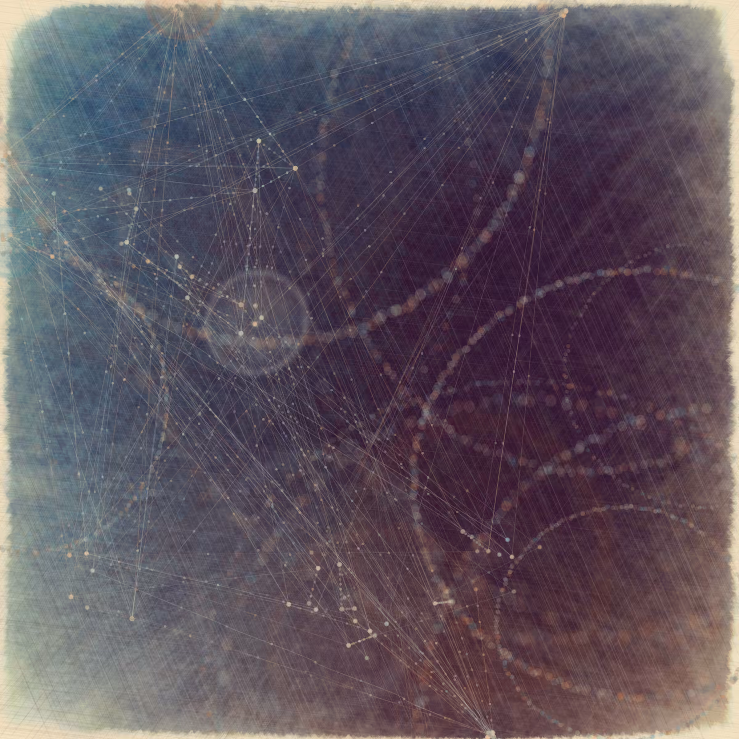 Reticulum
