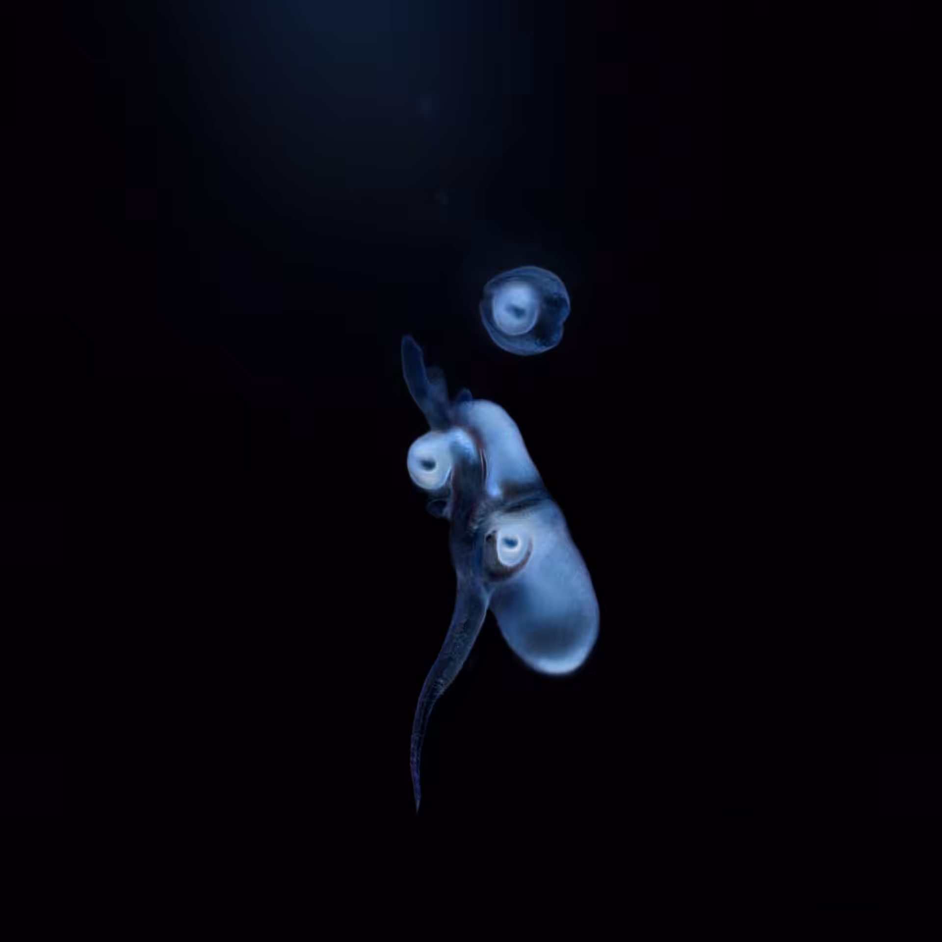 Sperma 01