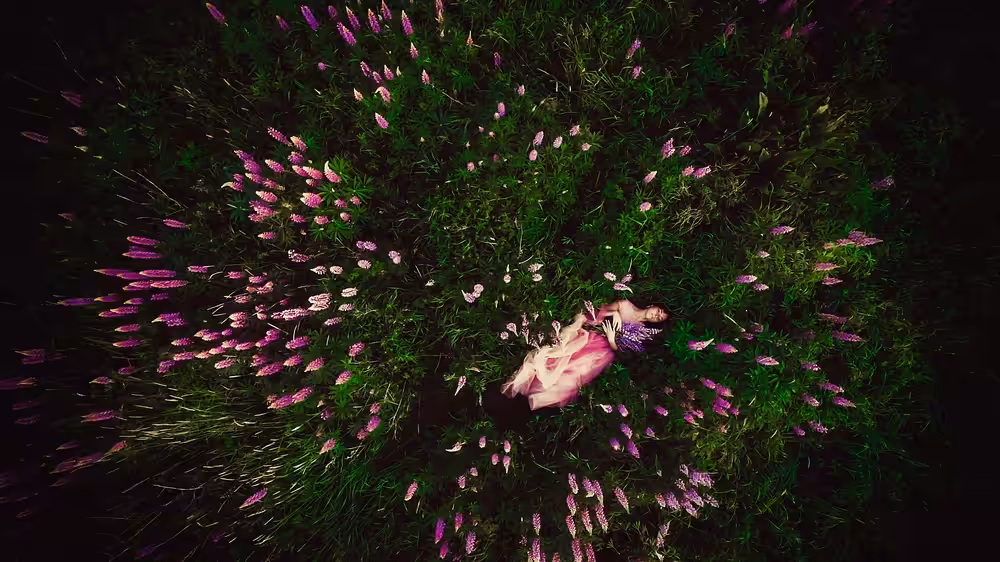 The Wild Flower