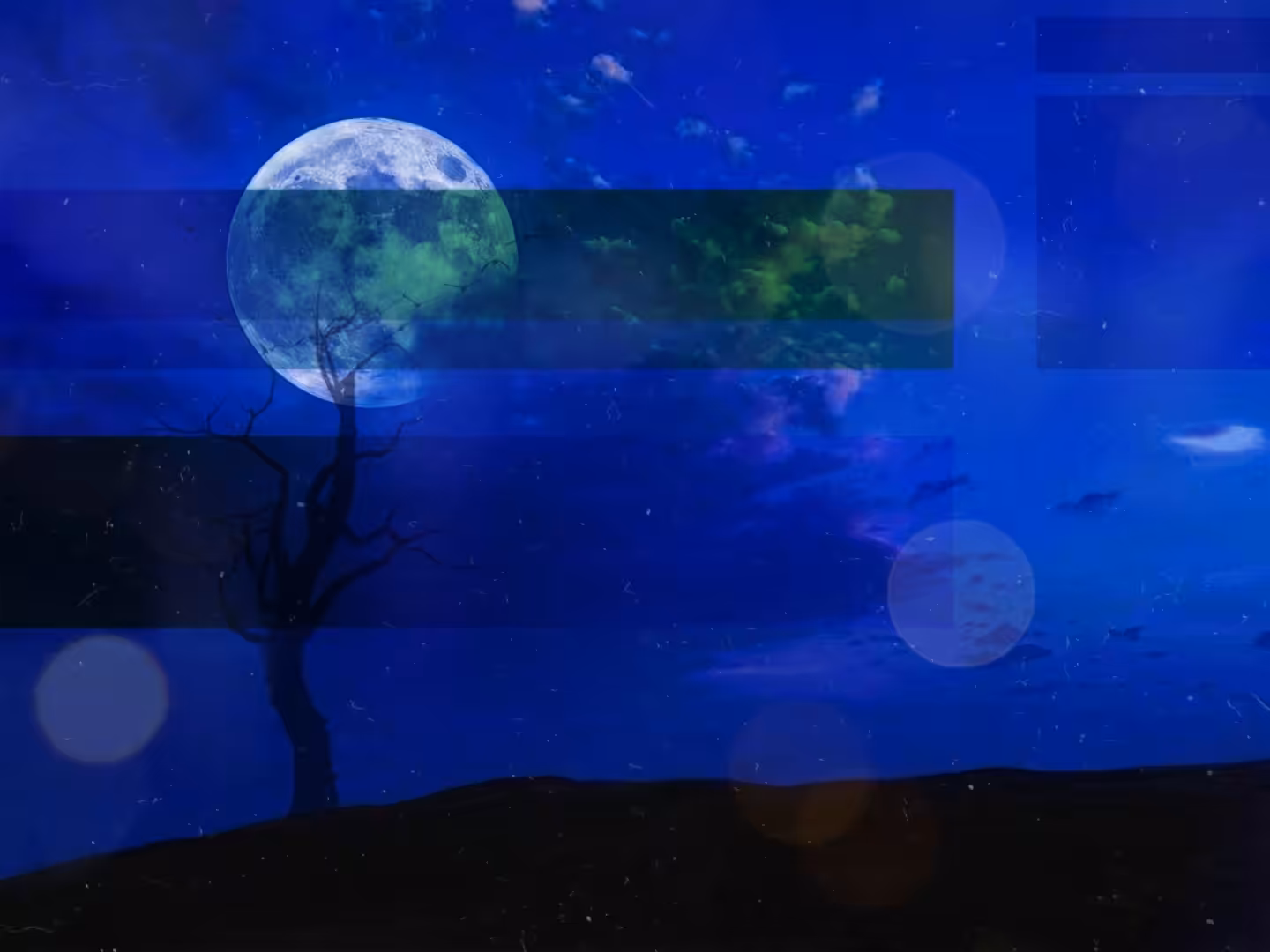 Whispers in Stillness: ​Midnight Spell