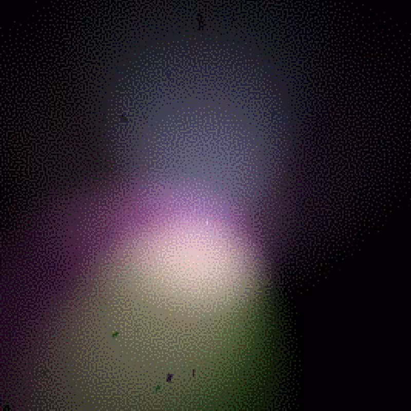 Moths #49