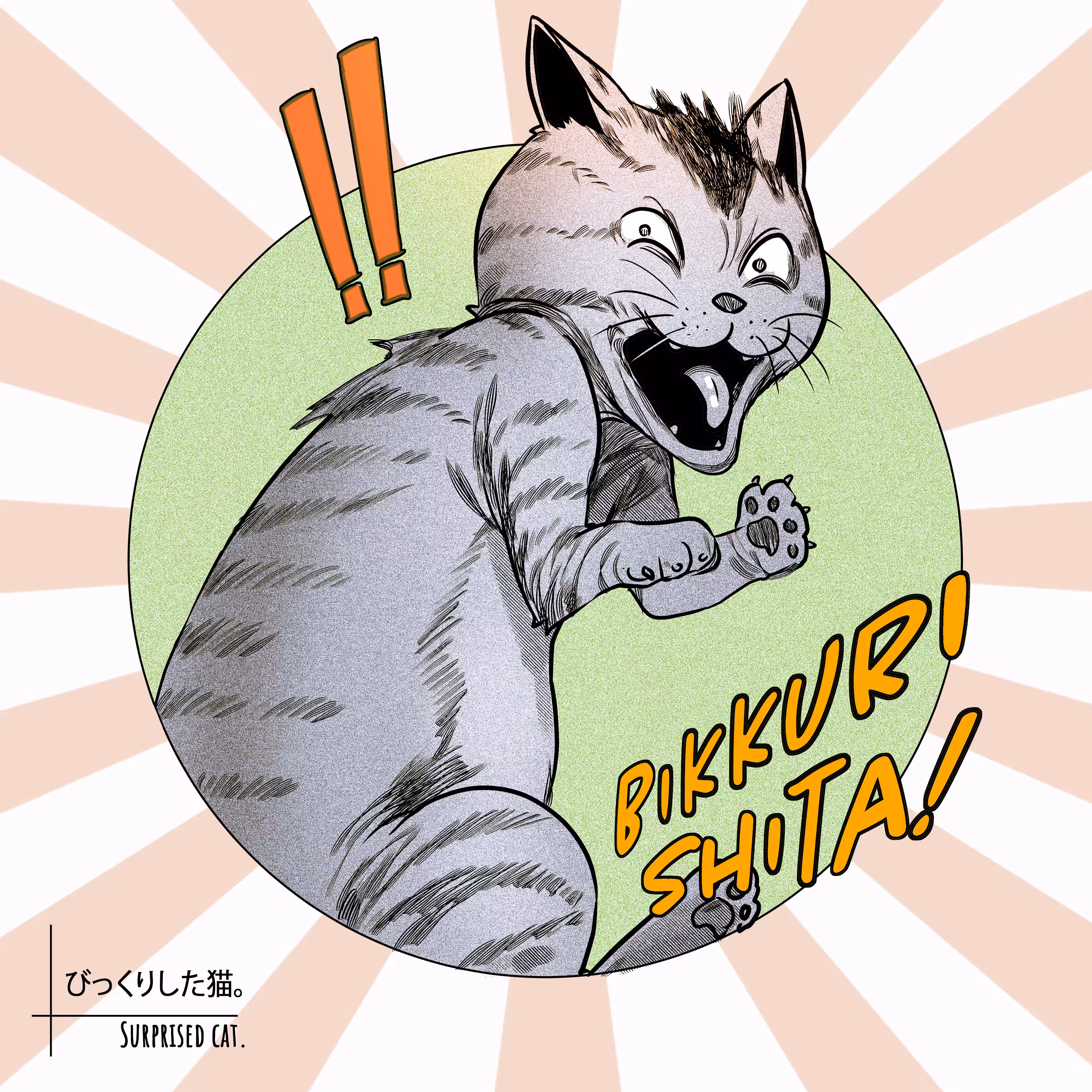 Surprised Cat.